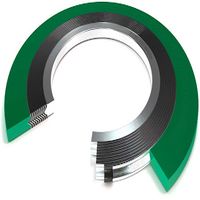 ASA 150LB Metaflex Gasket