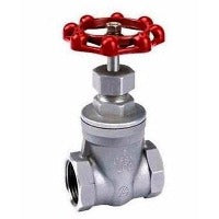 BSP STAINLESS GATE VALVE