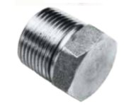 NPT 3000LB HEX PLUG 316L