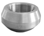 NPT 3000LB THREADOLET 316L